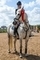 Megan Hill and My Maisy Secure STX- UK Pony British Novice Victory at Stainsby Grange 